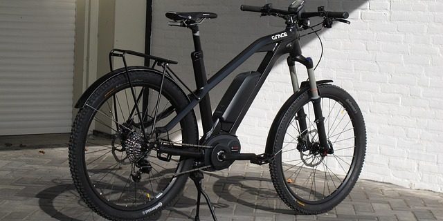 grace-gaa45dbb27_640