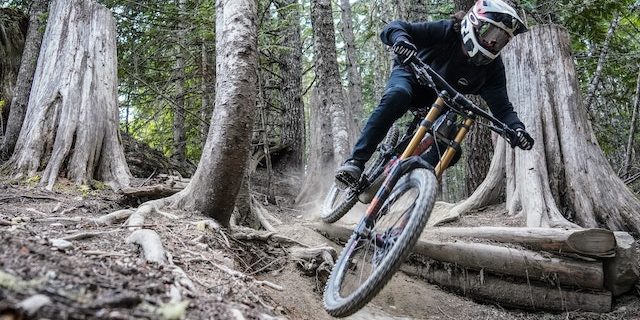 pexels-danny-bor-9994208